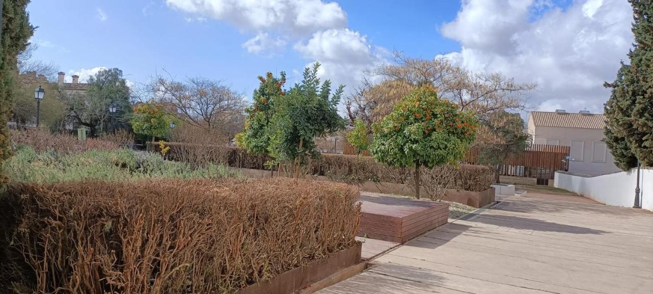 Appartamento Casa Lisa - Centro - Realejo Granada Esterno foto